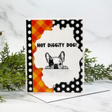 Card with a peeking French bulldog on black-and-orange papers and "Hot diggity dog!"