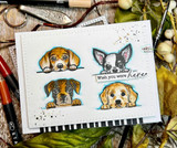 Card with peeking puppies and "Wish you were here"