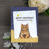 Navy confetti card reading 'Happy Birthday to the coolest cat I know' above the orange cat.