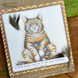 Chevron-bordered card of the wide-eyed tabby with feathers and the birdie-ate-it sentiment.