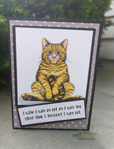 Gray polka-dot card of the cat with 'I wish I was as fat as I was the first time I thought I was fat.'