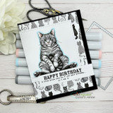 Cat-print birthday card of the gray tabby with the birdie sentiment and Copic markers.