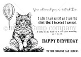 Feline Funny stamp set: a grumpy chubby cat with balloon and snarky birthday sentiments including 'To the coolest cat I know.'