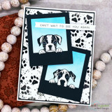Card with two peeking puppies on a paw-print background and "Can't wait to see you again"