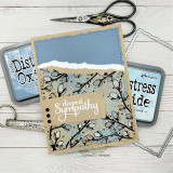 Pussy Willow {bkg 8/23}