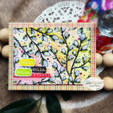 Pussy Willow {bkg 8/23}