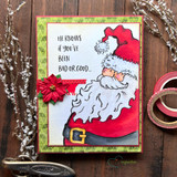 Green diamond-print card with a red poinsettia: the red-suited Santa under the “bad or good” sentiment.
