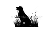 Line-art silhouette stamp: a retriever dog seated in grass, a red rubber pet-and-sympathy stamp by Unity Stamp Co.