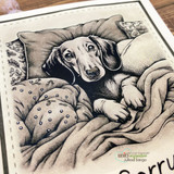 Doxie Apology