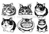 Line-art stamp of six chubby, grumpy cats in various expressions, shown uncolored on white.