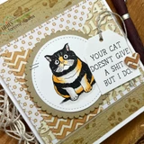 Card with a black-and-orange grumpy cat and a tag reading 'your cat doesn't give a sh*t but I do.'