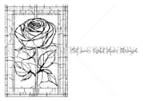 Enchanted Petals