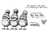 Red rubber stamp sheet with three round little birds in knit pom pom hats, carrying 'thanks for being by my side.' and 'FOREVER IN cahoots.'
