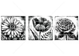 Stamp set of three bold grunge-textured blooms - a gerbera daisy, a tulip and a rose - on white.