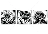 Red rubber stamp sheet with three square boho blocks, each holding a heavily inked bloom: a daisy, tulips and a rose.