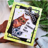 Green card with two colored cats and "Did somebody say cake?!", a black bow