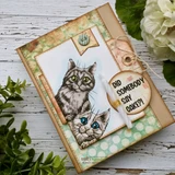 Card with the two colored cats in a frame on green floral paper and "Did somebody say cake?"