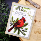 Cardinal Comfort {uu 12/23}