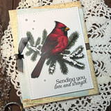 Cardinal Comfort {uu 12/23}