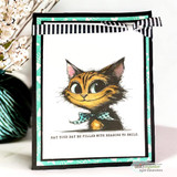 Teal-framed card of the grinning cat with the reasons-to-smile sentiment