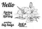 Lily Notes {wk 3/24}