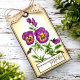 Lace-topped tag of deep purple pansies — with hope anything is possible