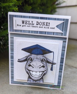 Handmade card featuring the grinning donkey wearing a graduation cap, in a gingham panel, stamped with 'Hee Haw, you did it'.