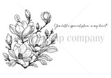 Line-art stamp sheet: Lisa Arana's magnolia branch with 'You hold a special place in my heart' red rubber stamp, Unity Stamp Co.