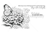 Red rubber stamp image: monarch on script-textured hydrangea with both support sentiments