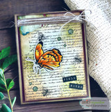 Wings & Things {wk 5/24}