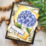 Hydrangea Love {wk 6/24}