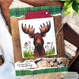 Card with a hand-colored majestic moose standing in wildflowers and the sentiment "hope your day is a-moosing," wood-framed