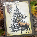 Tall card with the stag beside a tall pine, topped by “MAY THESE NEXT YEARS BE THE BEST YEARS!” on kraft and plaid.