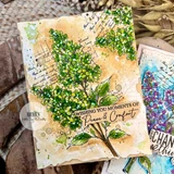 Kit of the Month {CANADA}