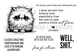 Unity Stamp Co red rubber stamp set showing a sad, wide-eyed fluffy kitten with get-well sentiments including 'just in case you're a little not fine, I'm here' and 'please get well soon.'