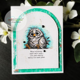 Teal arched card with the scruffy owl and "This birthday card isn't late, it's just really early for next year"