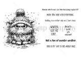 Unity Stamp Co red rubber stamp set showing a grumpy cat bundled in a chunky knit pom-pom hat, with sentiments like 'Guess who's not in the holiday spirit?' and 'Winter got me like.'