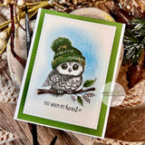 Card with the green-beanie owl on a blue sky background framed in green and "you warm my heart"