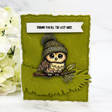 Green textured card with the beanie owl and "Sending you all the cozy vibes"