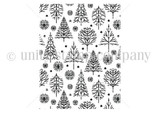 Evergreen Wonderland {bkg 11/24}