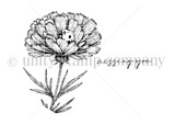 Red rubber stamp art of a detailed carnation bloom sheltering a tiny ladybug with 'missing you' script