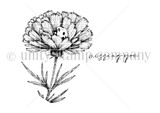 Red rubber stamp sheet with a single ruffled bloom on a leafy stem, beside the small script 'missing you'.