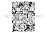 Faded Roses {bkg 12/24}