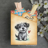 A card project showing Odie, a scruffy rescue puppy, paired with the greeting "It's never too late to find out where you truly belong."