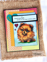 Burlap-framed rainbow card of fluffy Pomeranian puppy Bradley, 'Sometimes love walks in on four little paws'
