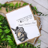 Card with a grumpy donkey and 'it takes a special kind of person to deal with my crazy ass. Happy Valentine's Day!'