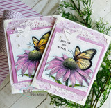 Have Faith Love is All Around