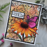 Have Faith Love is All Around