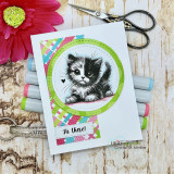 Card with the calico kitten in a green circle over plaid paper: 'Hi there!'
