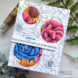 Petal Fusion {bkg 2/25}